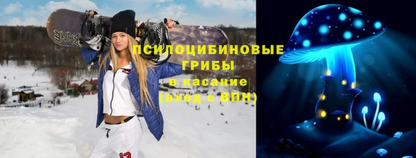 эйфоретик Белокуриха