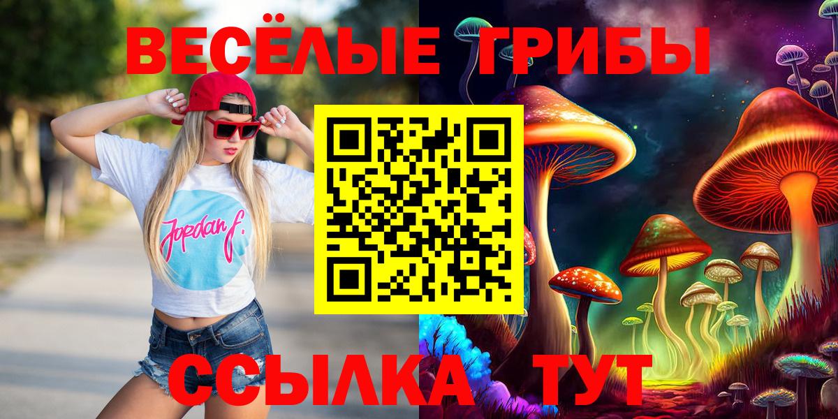 Галлюциногенные грибы Psilocybe Великие Луки